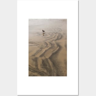 The Sands Of La Jolla - 3 © Posters and Art